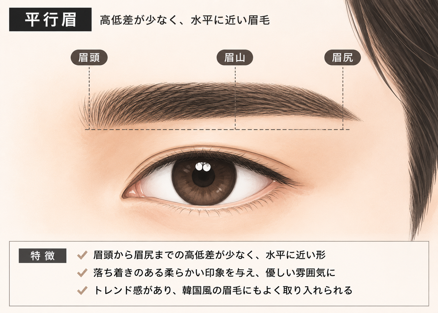 メンズの平行眉デザインのイラスト