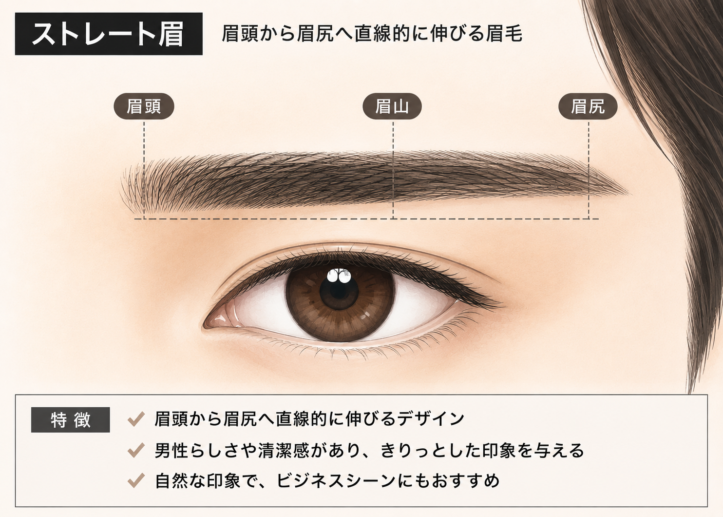 メンズのストレート眉デザインのイラスト