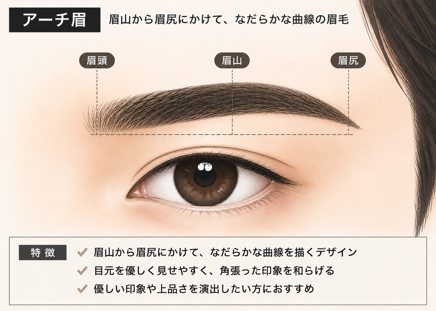 メンズのアーチ眉デザインのイラスト