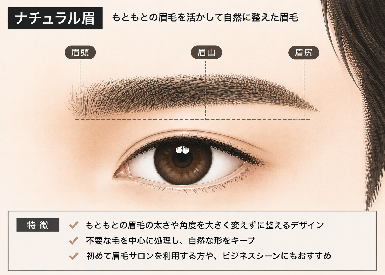 メンズのナチュラル眉デザインのイラスト