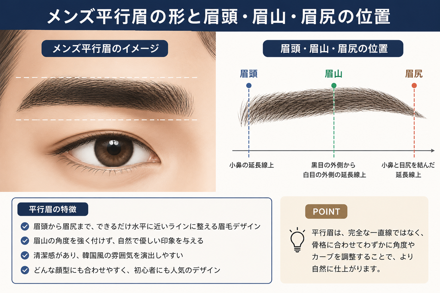 メンズ平行眉の形と眉頭・眉山・眉尻の位置を示したイラスト