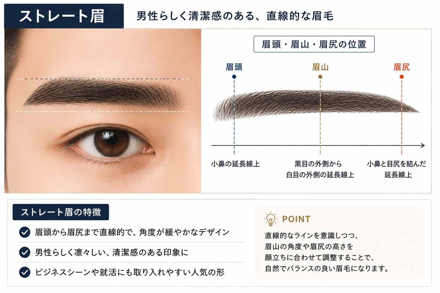 メンズのストレート眉の形と眉頭・眉山・眉尻の位置を示したイラスト