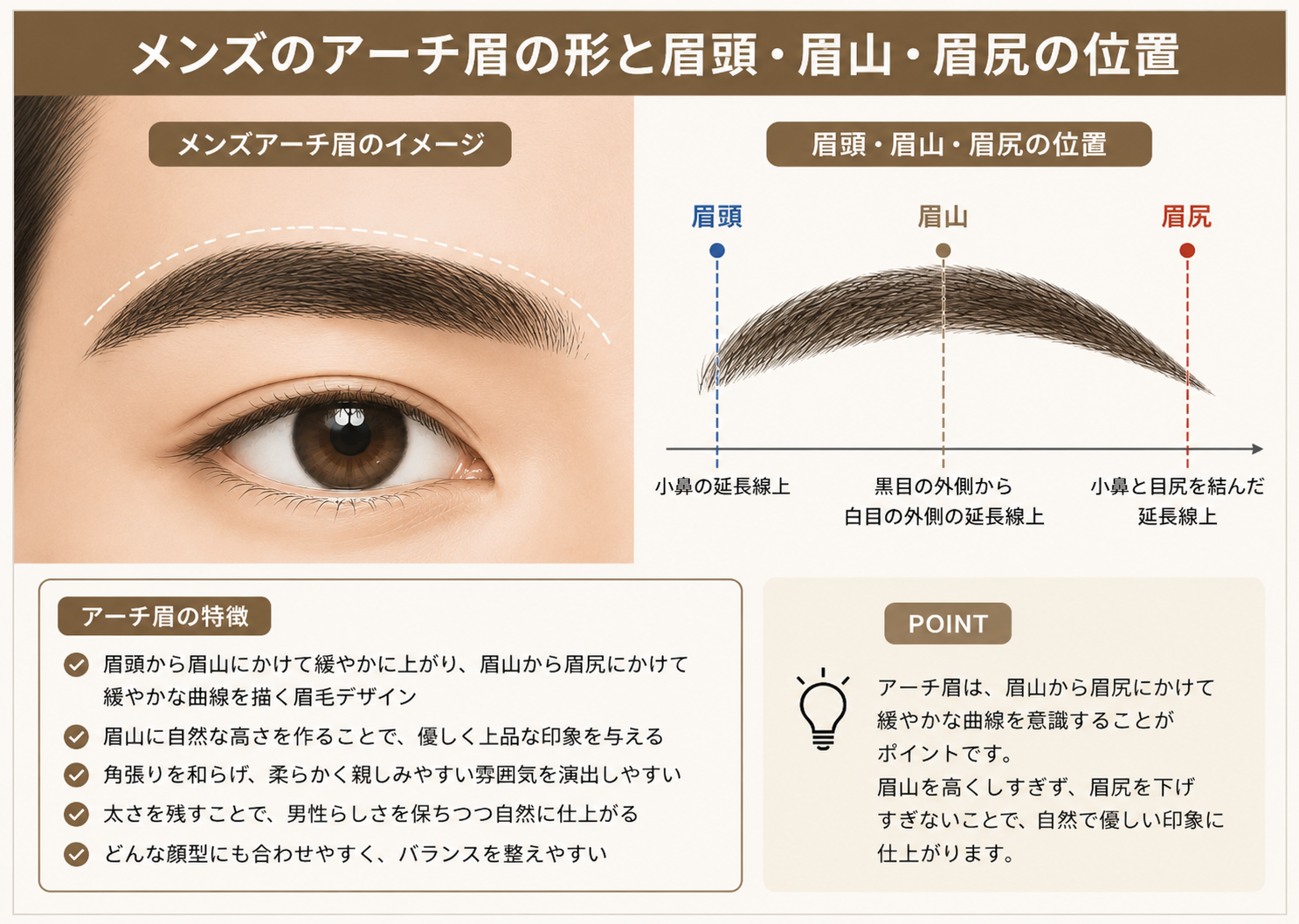 メンズのアーチ眉の形と眉頭・眉山・眉尻の位置を示したイラスト