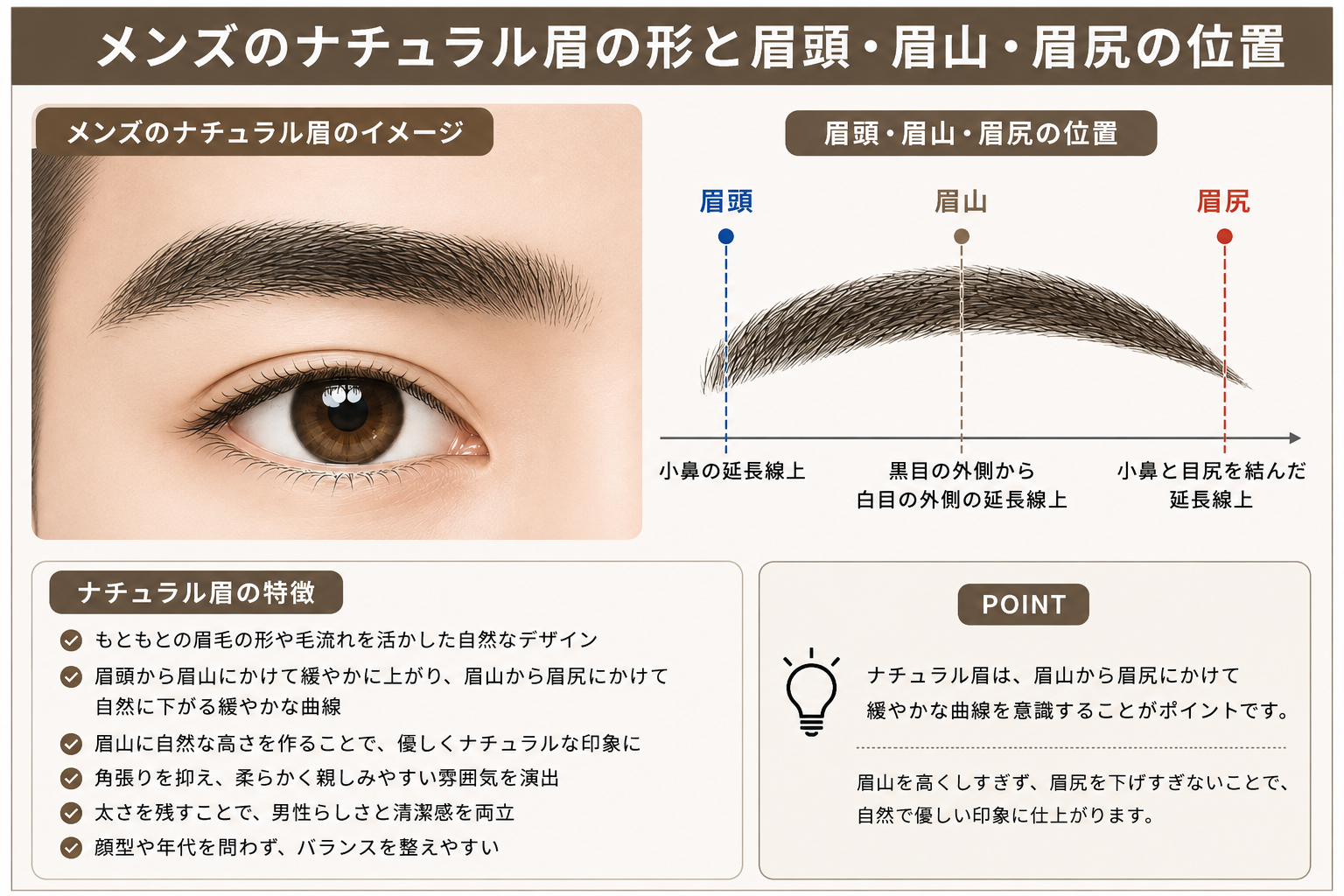 メンズのナチュラル眉の形と眉頭・眉山・眉尻の位置を示したイラスト