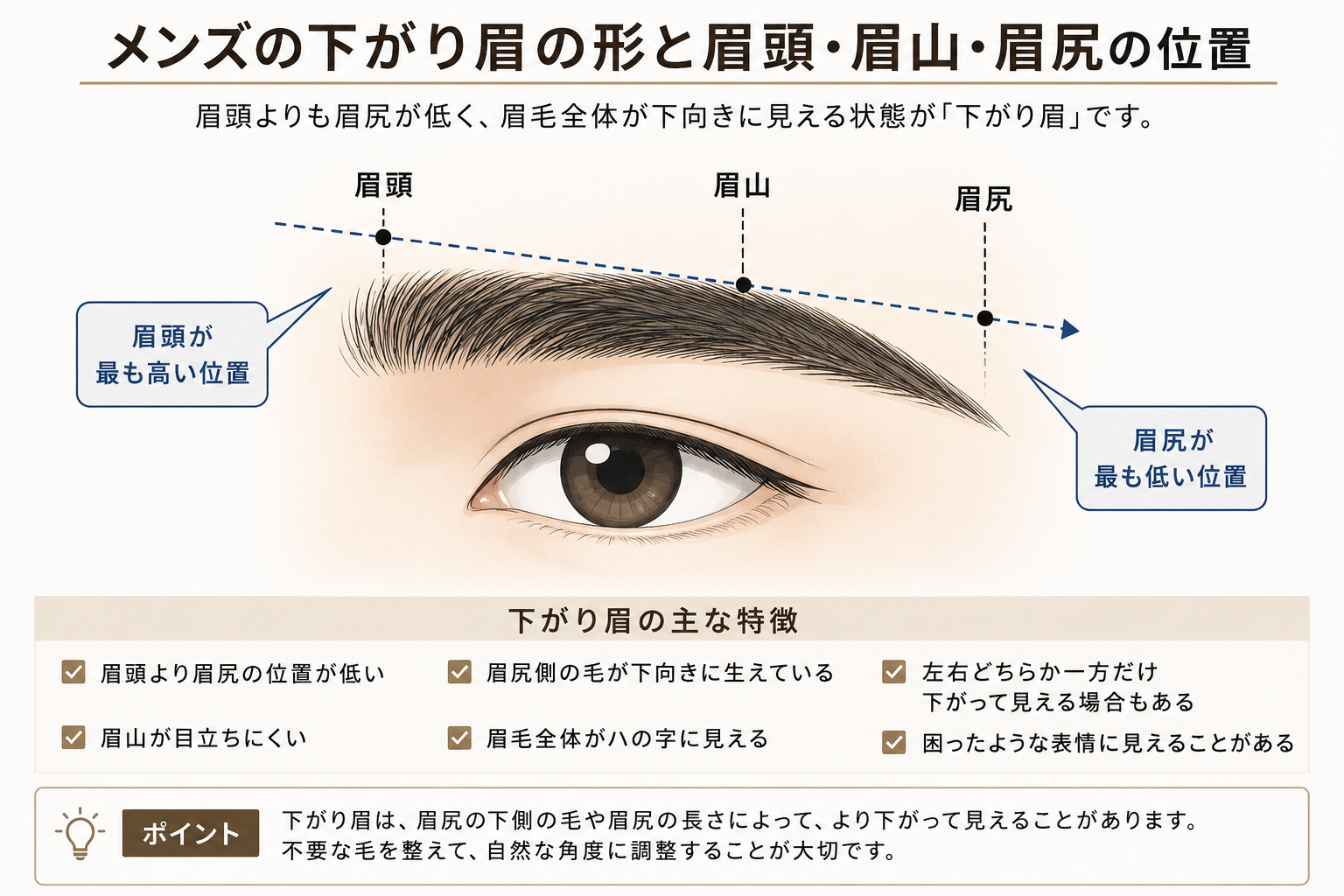 メンズの下がり眉の形と眉頭・眉山・眉尻の位置を示したイラスト